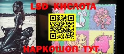 шишки Моздок