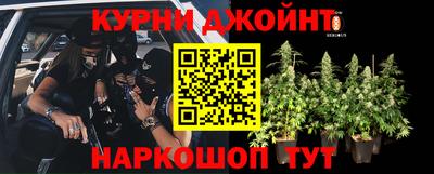 шишки Моздок