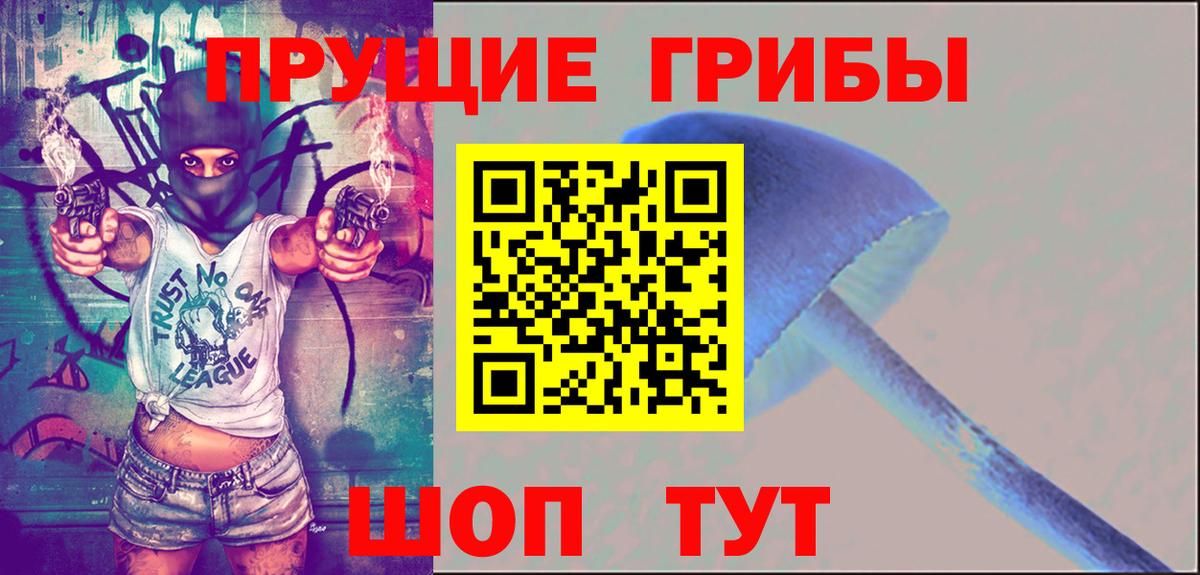 Гулькевичи  Псилоцибиновые грибы прущие грибы  Вход с VPN  Псилоцибиновые грибы MAGIC MUSHROOMS 